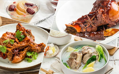 傳世骨頭飯加盟全解析 費用、條件與餐飲管理服務